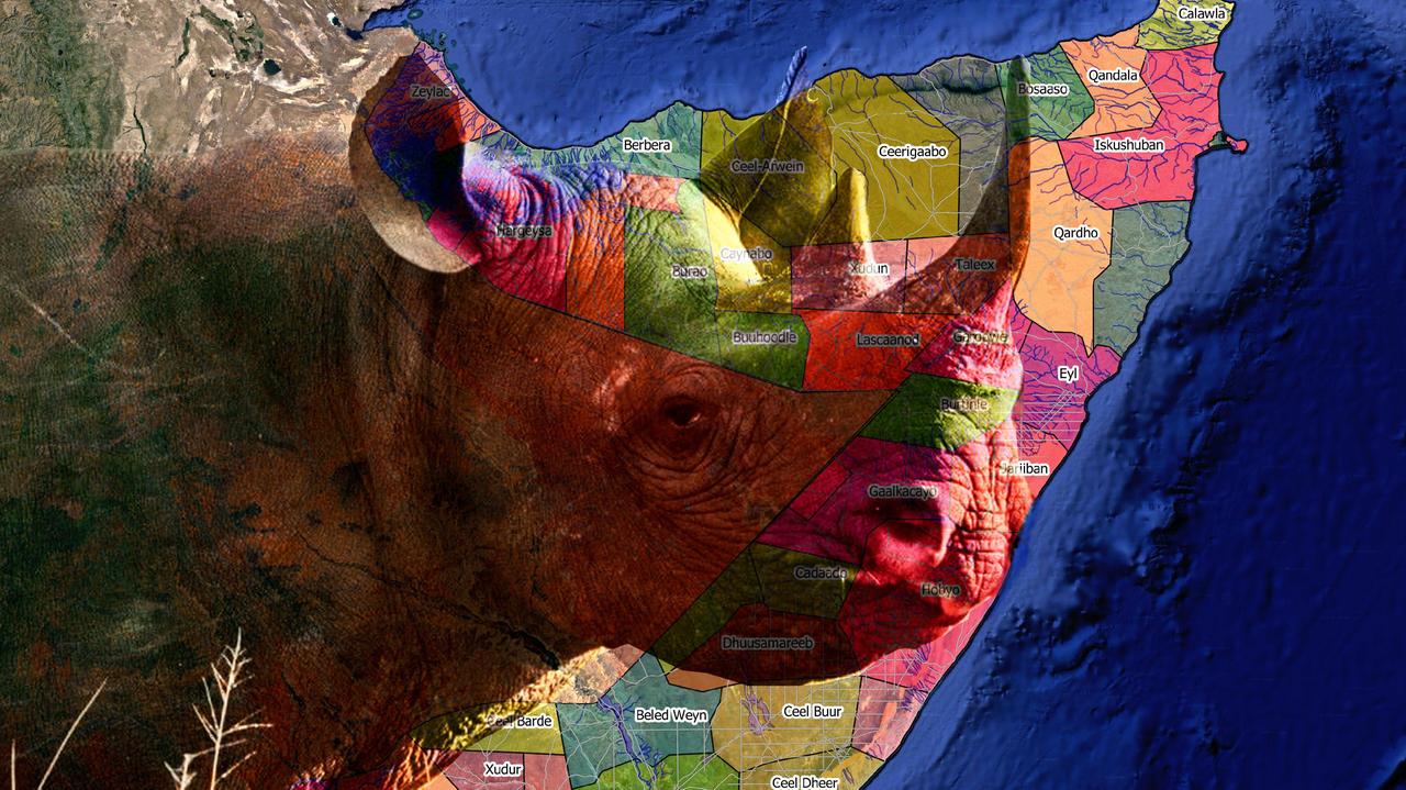 Pavullo. Con Mapathon il volontariato in carta geografica