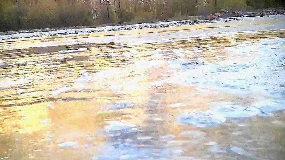 Le fototrappole immortalano schiuma sospetta nel Secchia