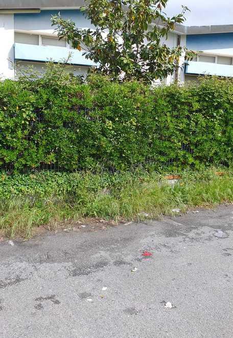 Sporcizia e degrado ad Alteta Entrano in azione i volontari