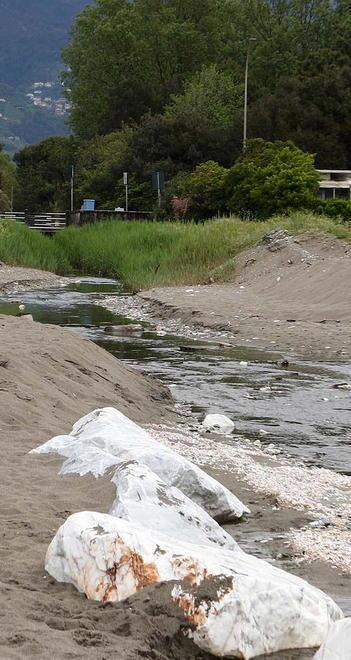 «La Regione modifichi il progetto dell’idrovora in spiaggia a Poveromo» 