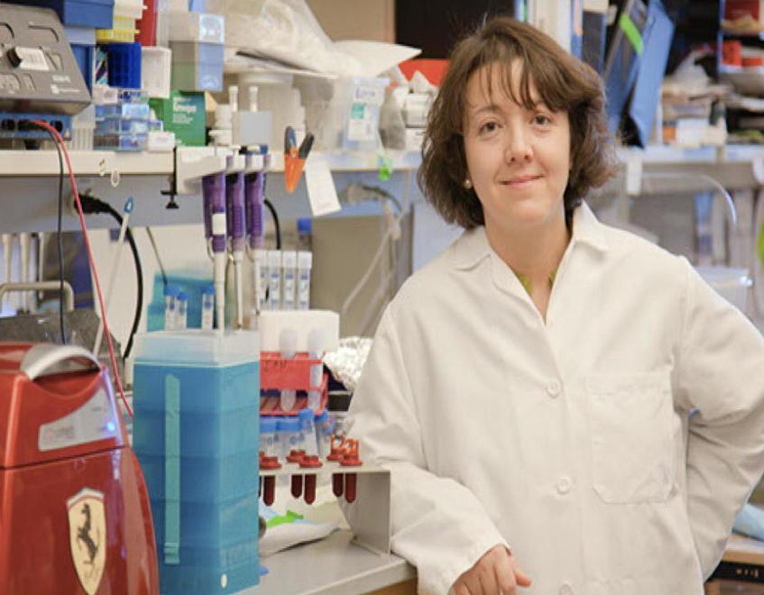 Elena Levantini, la scienziata in prima linea contro i tumori 