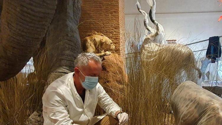 Il Museo di Calci riparte di slancio oltre 600 biglietti nel weekend