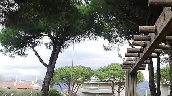 Non solo runners: torna Sport nel Verde