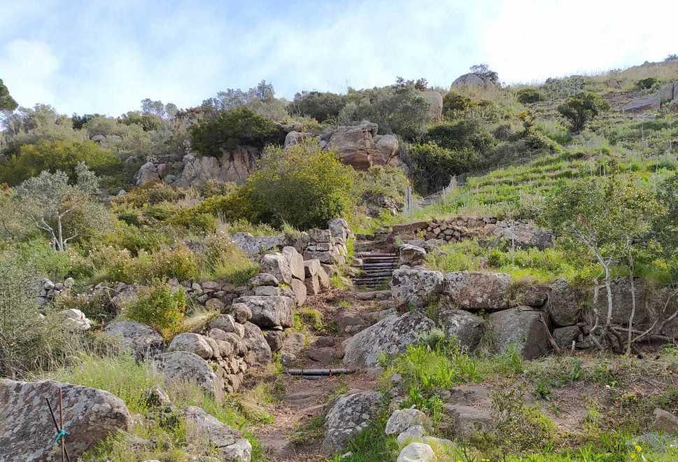 Nasce un sentiero tra l’apiario e i terreni recuperati a vigna