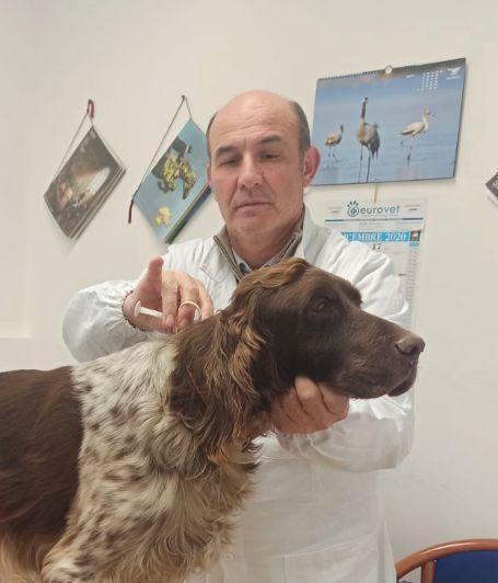 Ventimila cani “rurali” da censire 