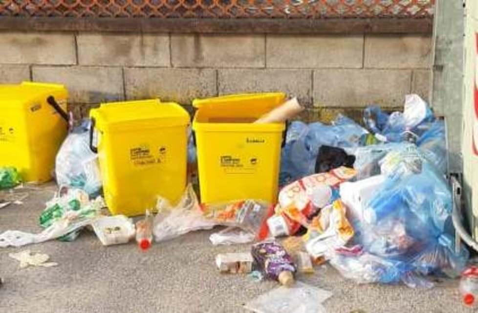 Mancata raccolta in via Vecchia Casalina