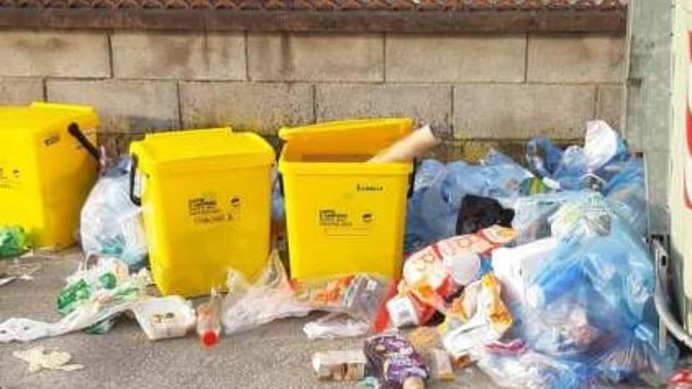 Mancata raccolta in via Vecchia Casalina