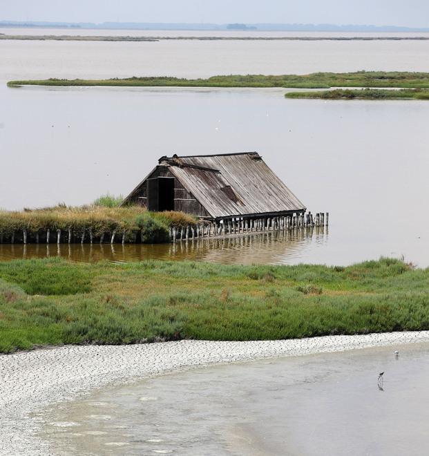 Acqua, il Delta del Po nella candidatura per il Forum mondiale 