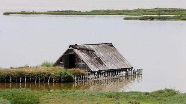 Acqua, il Delta del Po nella candidatura per il Forum mondiale