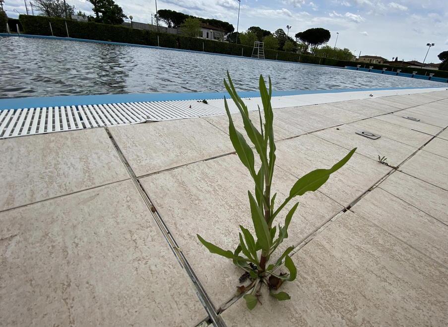 Pontedera, per la piscina è una missione (quasi) impossibile aprire per 400 atleti fra tre settimane 