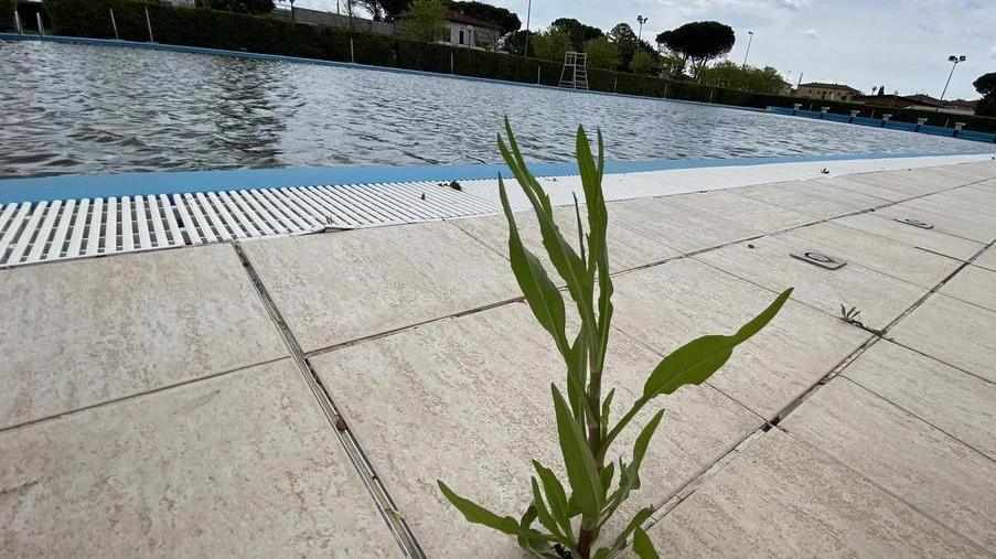 Pontedera, per la piscina è una missione (quasi) impossibile aprire per 400 atleti fra tre settimane