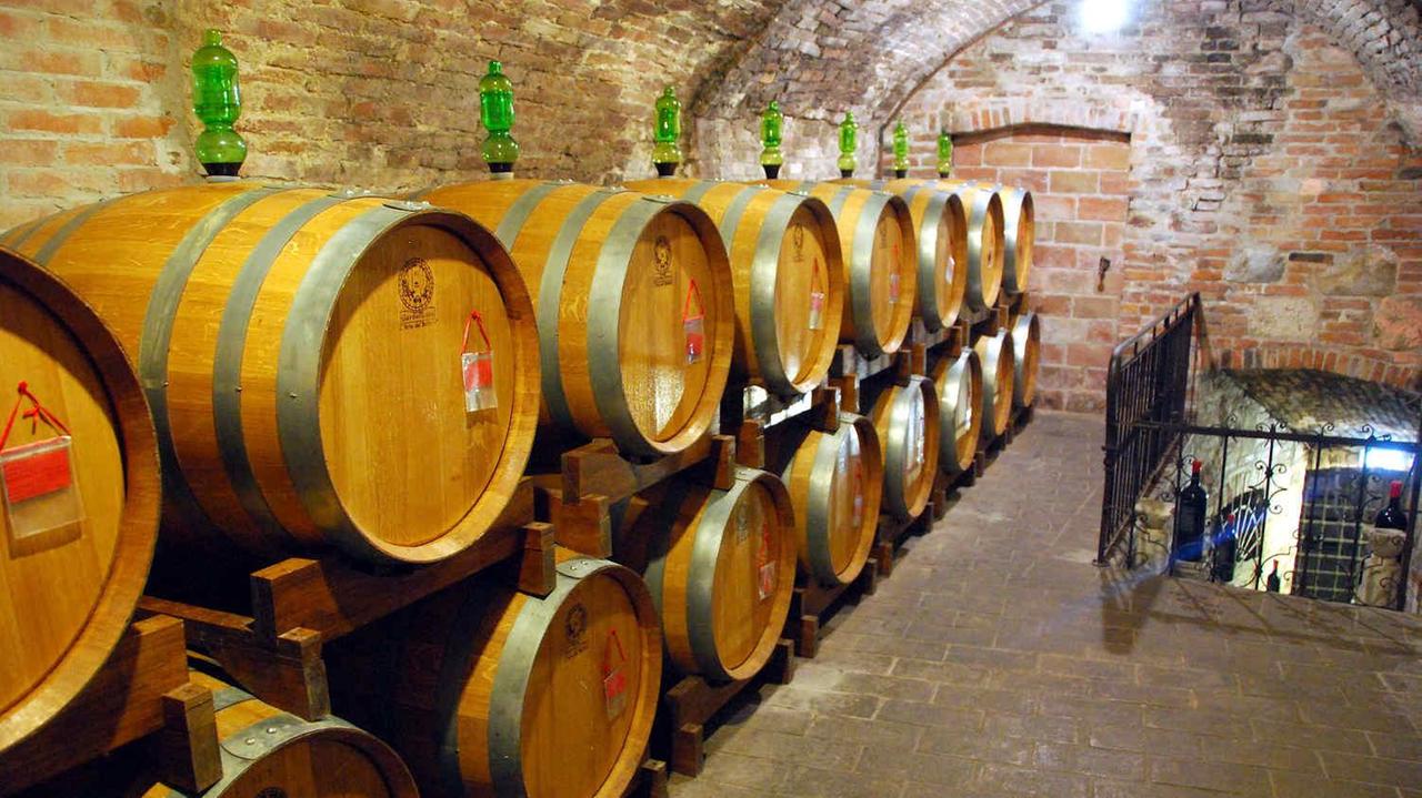Vino, Coldiretti sulle barricate per difendere le aziende lucchesi