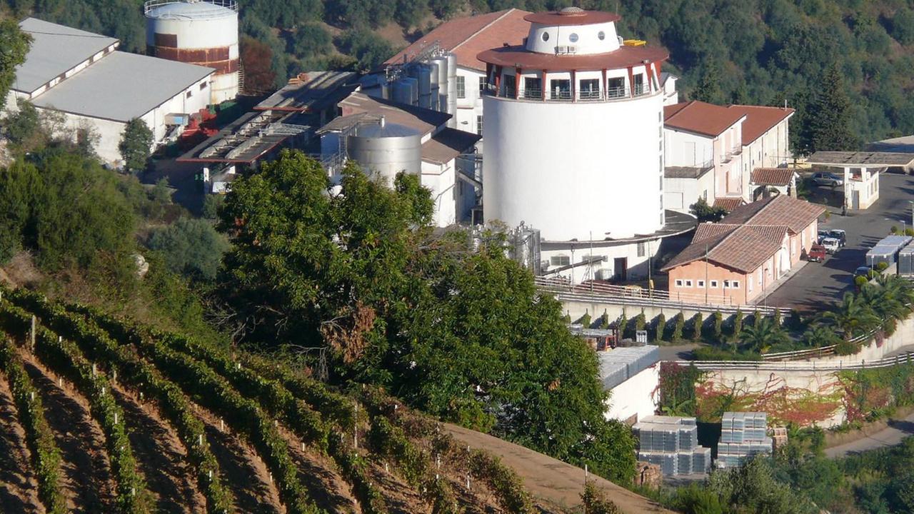 Cantina Jerzu antichi poderi e sfide nuove