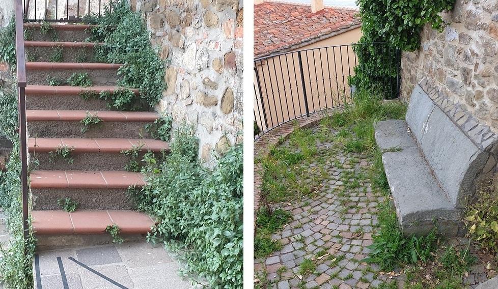 Paese sommerso dall’erba «Borgo abbandonato a sé Delusione per il turismo» 