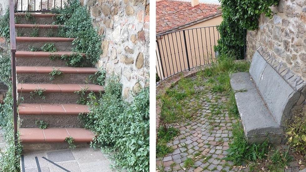 Paese sommerso dall’erba «Borgo abbandonato a sé Delusione per il turismo»
