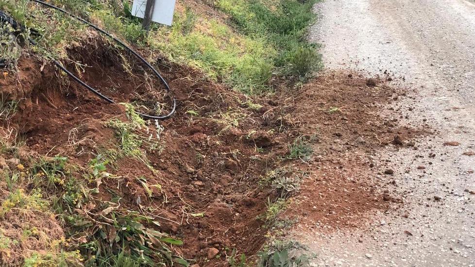 La voglia di risolvere un problema antico «Troppi esemplari, non se ne può più»