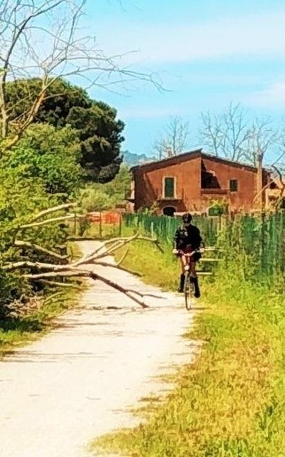 In bici tra buche e alberi caduti «Mettete in sicurezza la pista» 