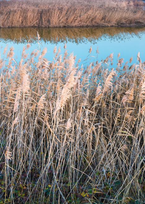 Domani tour con le guide tra la natura delle Valli 