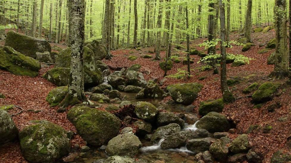 L’hotel Le Macinaie riapre e l’Amiata torna a fare turismo 