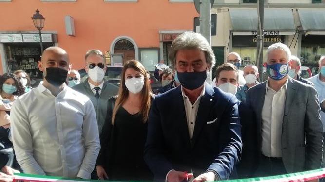 Rami pericolanti sui pini marittimi di piazza Orsi
