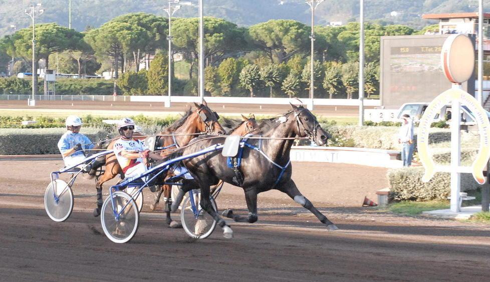 Il figlio del campione si fa onore al Sesana battendo il favorito