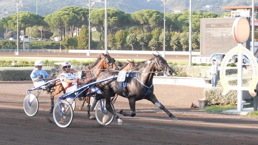 Il figlio del campione si fa onore al Sesana battendo il favorito