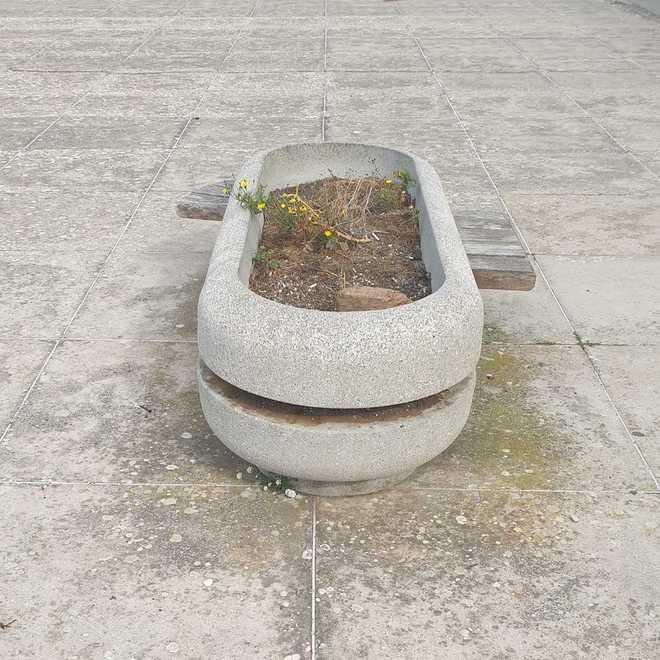 «Fiori secchi nelle fioriere fuori dalla casa napoleonica»