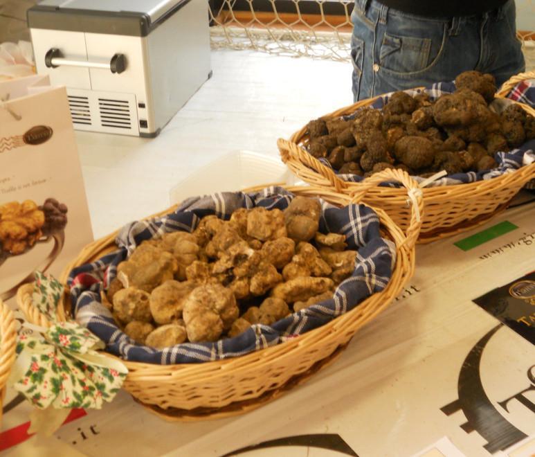 «Tutele più efficaci per le tartufaie naturali» 