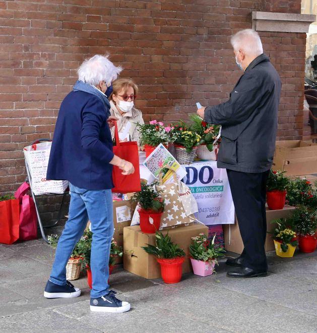 Tornano i banchetti benefici: oggi le azalee