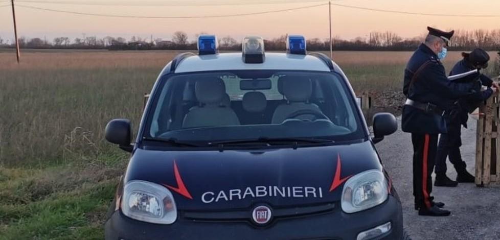 Agricoltore lavora ma a fianco cenano Lite col ristoratore 