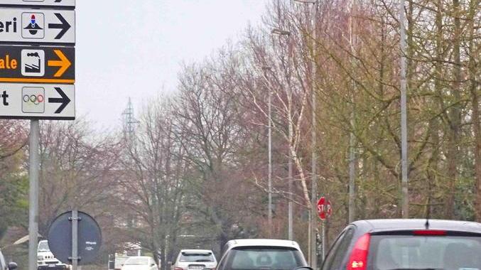 Un'immagine del viale Marino Marini