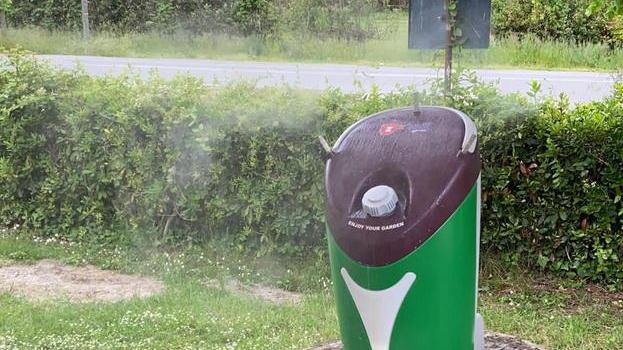 Zanzare, disinfestazione fai da te per i locali