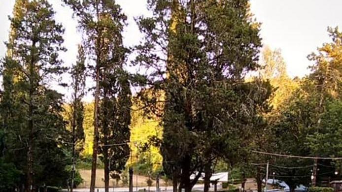 «È giusto rimanere fermi per rispetto dei ristoratori»
