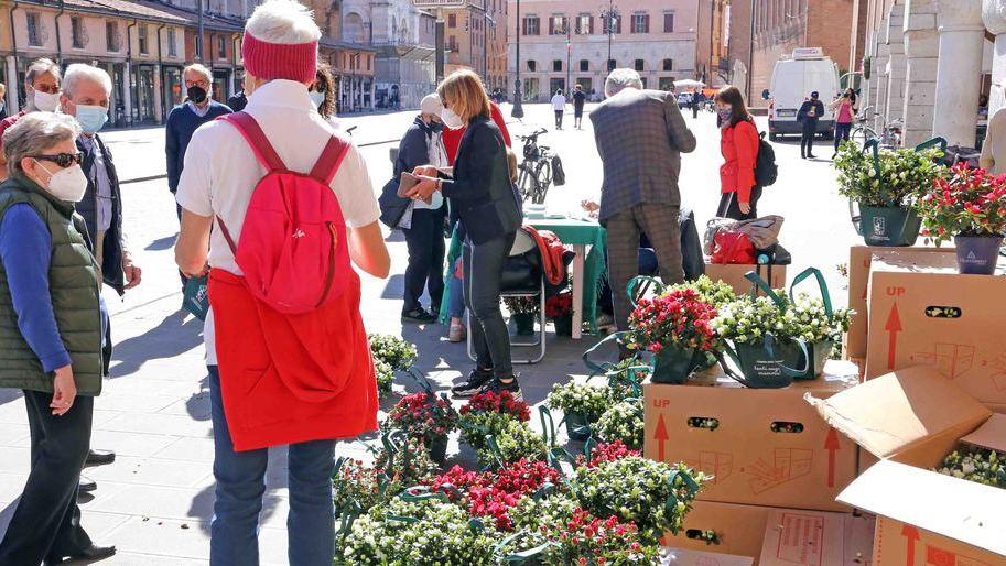 6.500 euro per la ricerca