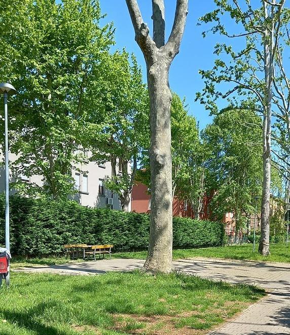 Parco di via Lugli tra bivacchi e degrado Residenti esasperati 