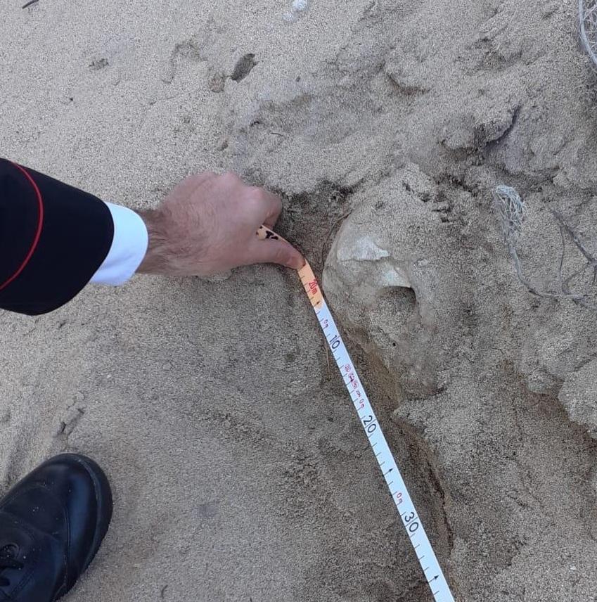Giallo a Badesi, teschio trovato in spiaggia 