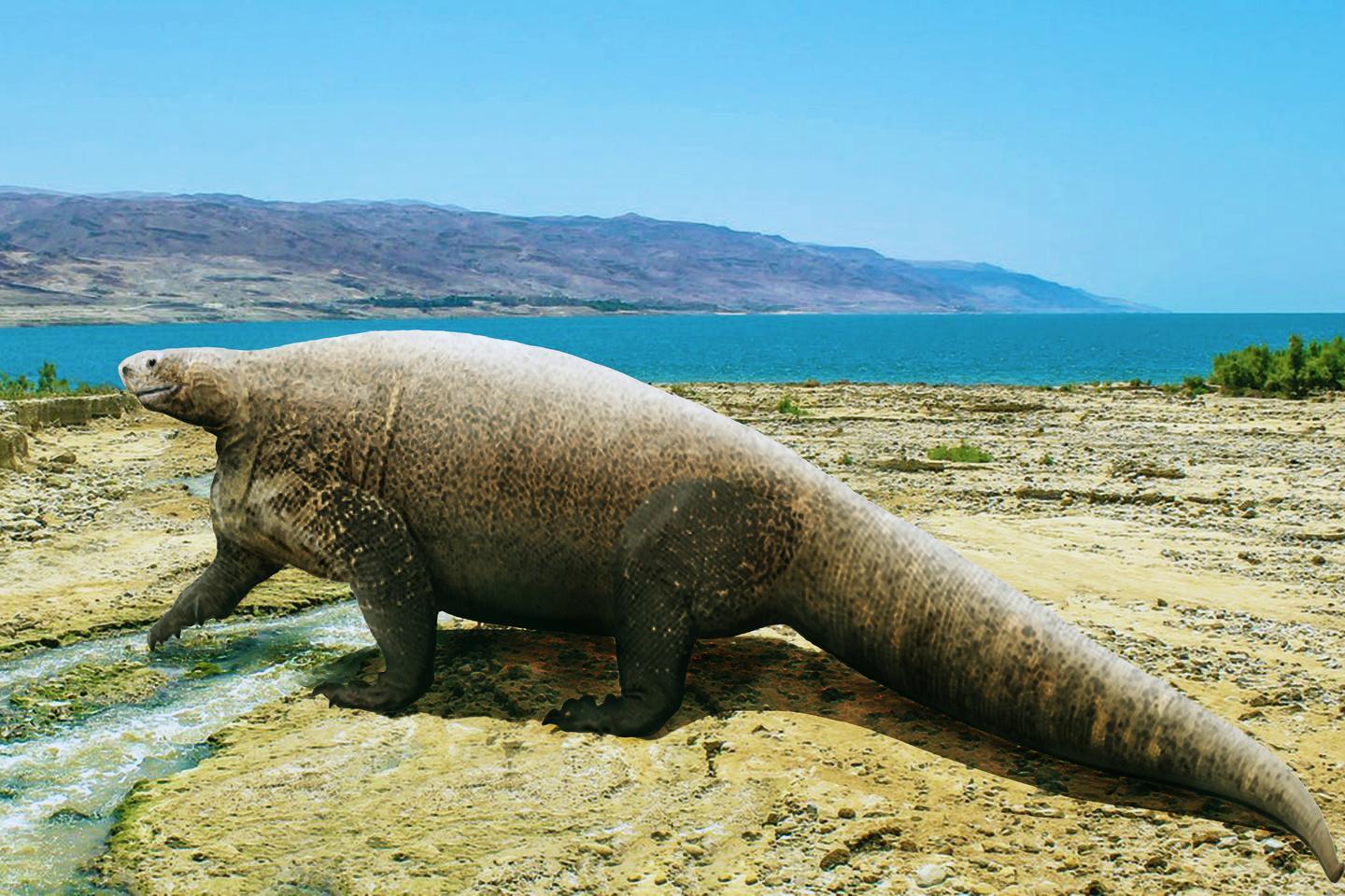 Una terra mai uguale, più volte non fu un’isola