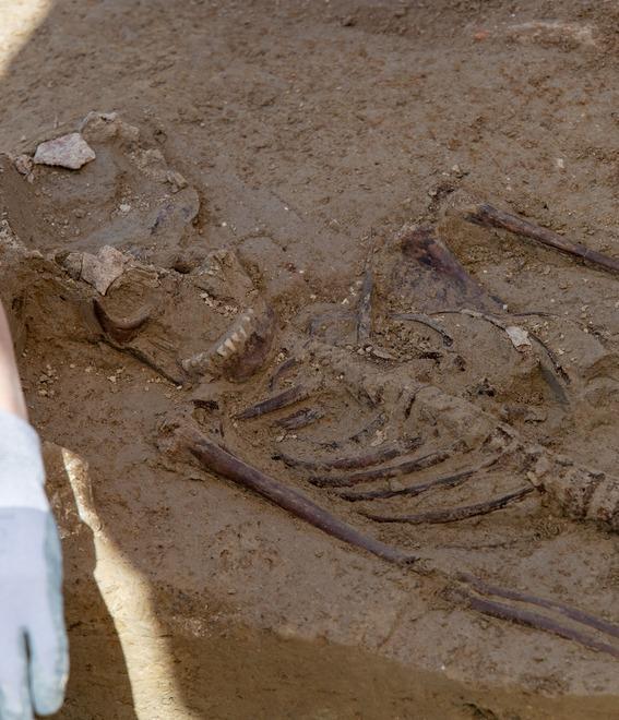 Coccanile, nuova scoperta nell’antica pieve: ritrovato lo scheletro di un giovane 