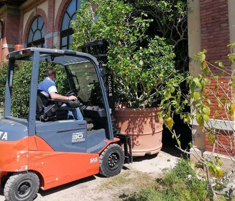 Si riaprono le serre e le piante tornano nel parco 