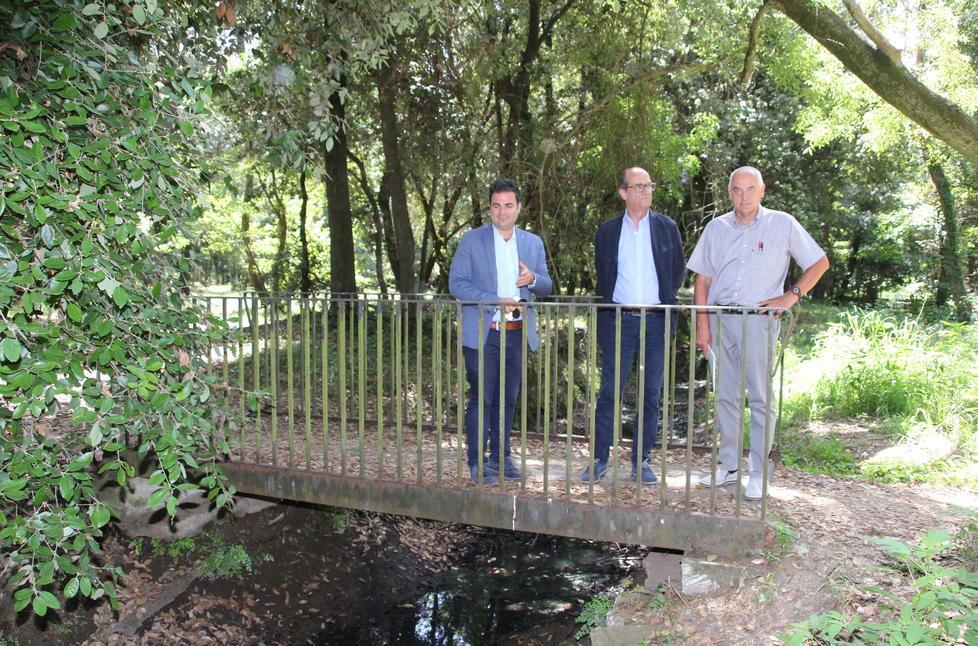 Un’estate di lavori in pineta di Ponente 