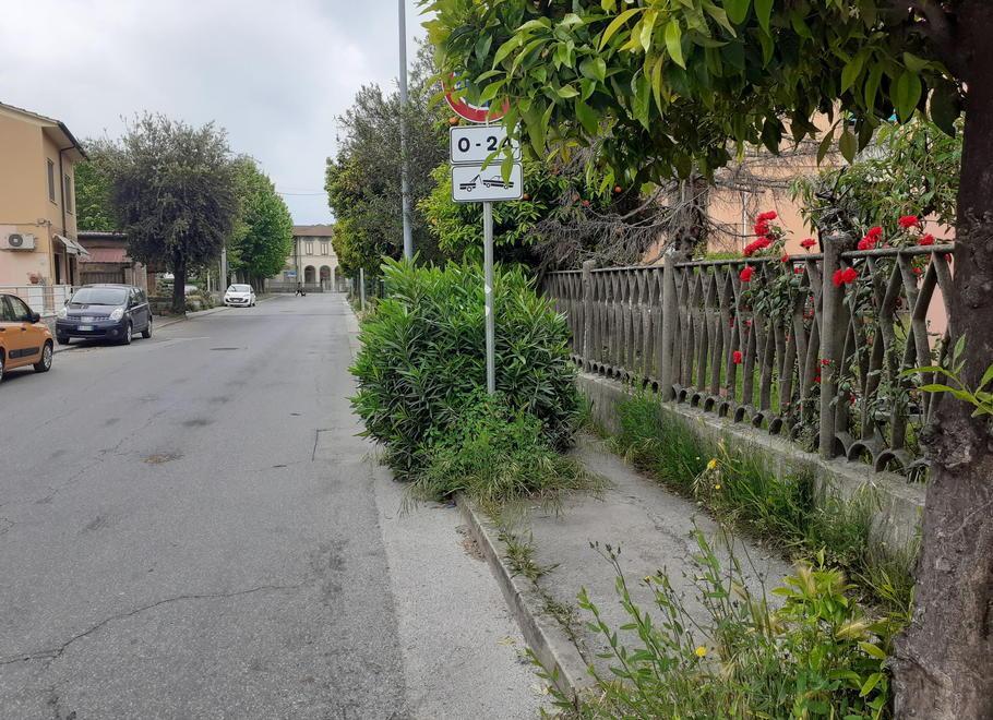 Marciapiede invaso dall’erba in via Paladini