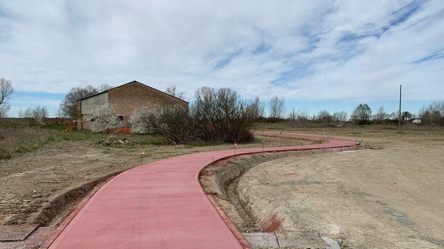 Ferrara, quasi mille alberi sulla ciclabile per Cona dedicati alle vittime Covid