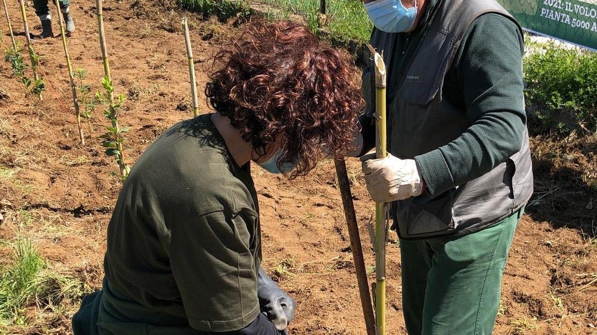 “Pianta un albero” a Bitti il simbolo della rinascita