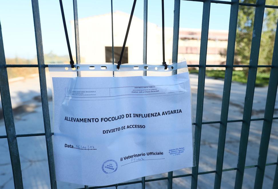 Maxitruffa alla Regione Intascano due milioni per bonifica dell’aviaria 