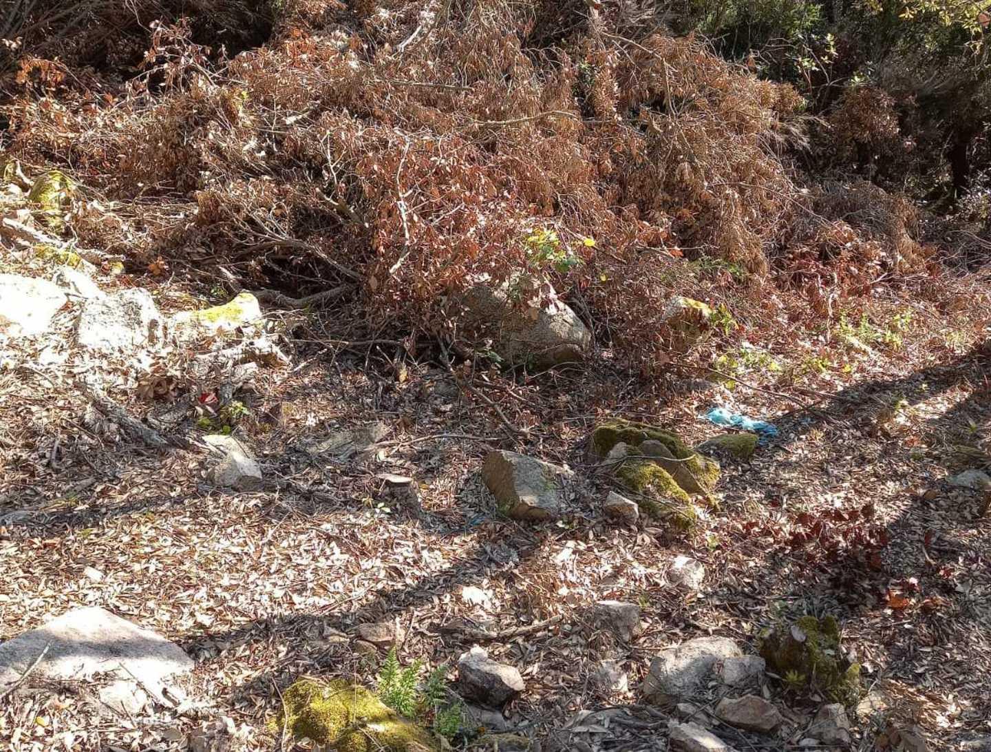 Gli escursionisti sul Limbara «In giro tra rifiuti e rami secchi»