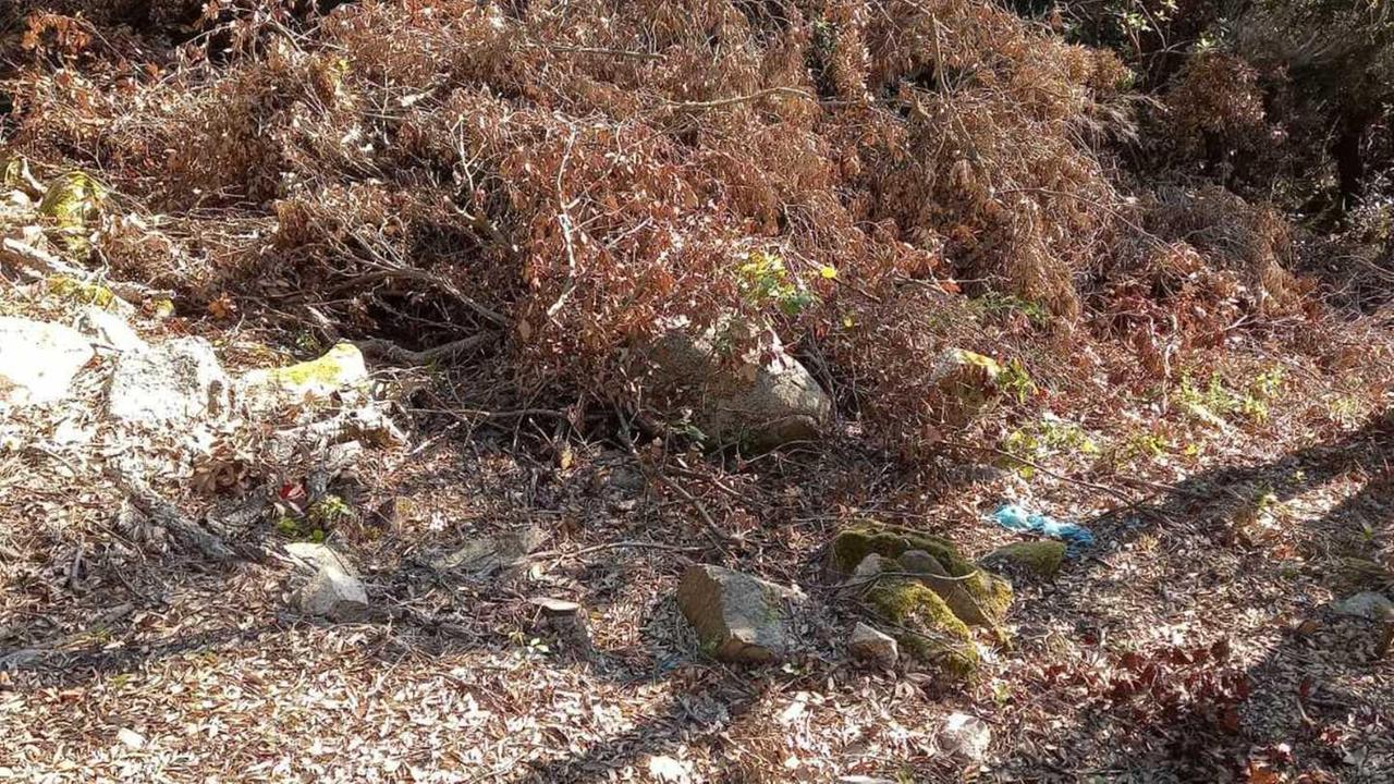 Gli escursionisti sul Limbara «In giro tra rifiuti e rami secchi»