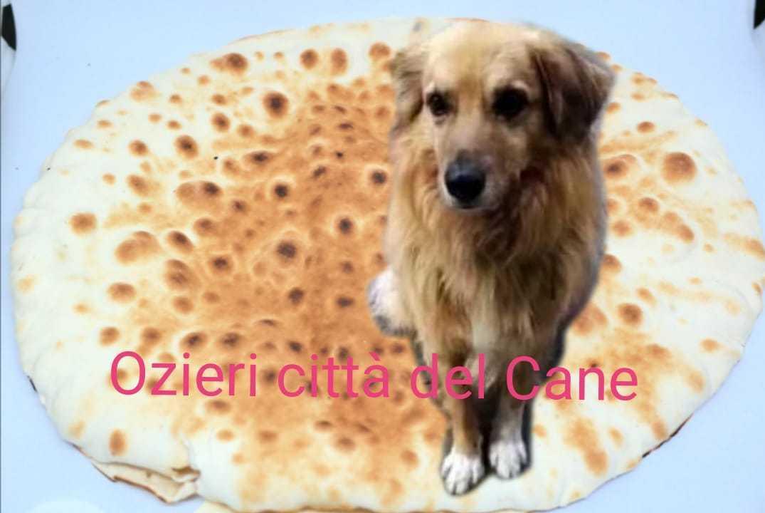 Garibaldi diventa un caso sul web 