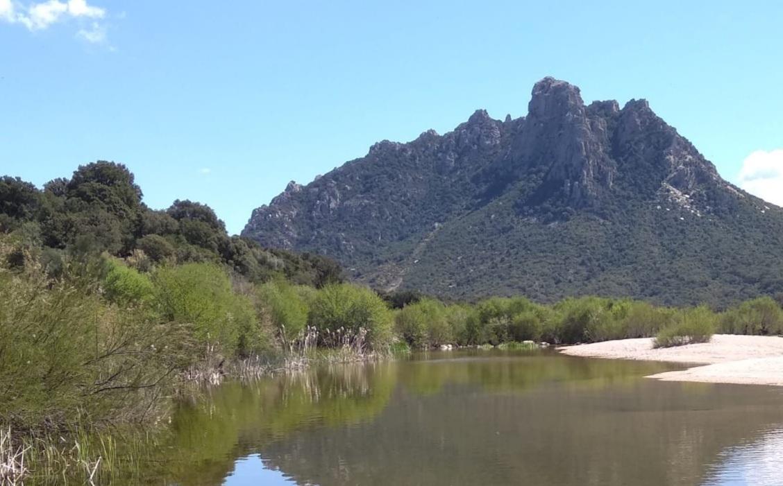 Bitti è Marianna Mossa la direttrice del Parco 