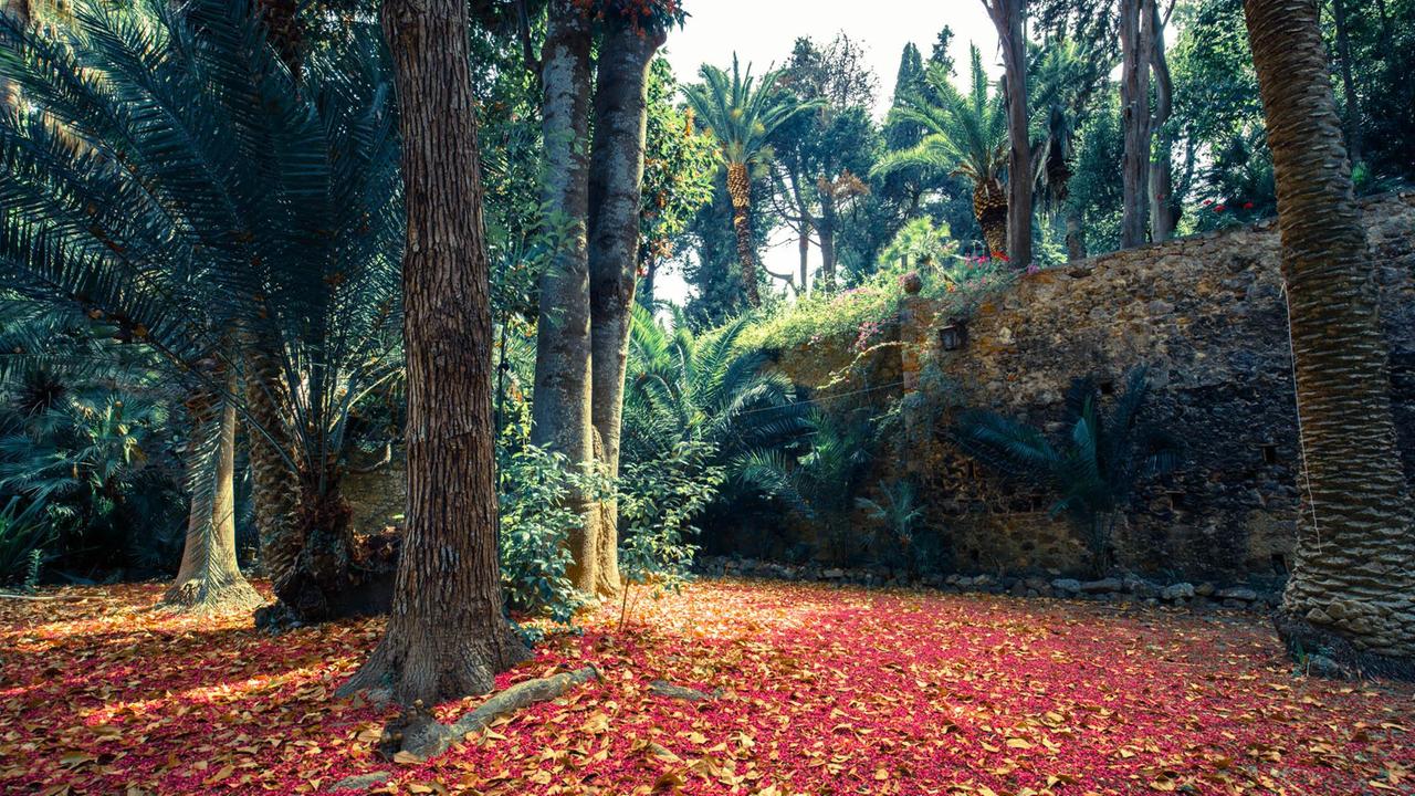 Apre al pubblico il magnifico Orto botanico dei marchesi Corsini