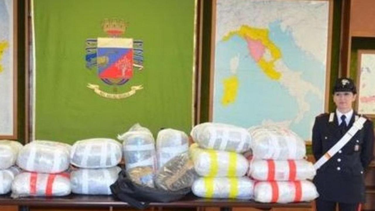 La droga sequestrata nel container